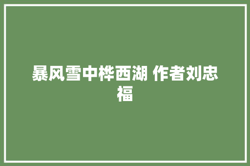 暴风雪中桦西湖 作者刘忠福