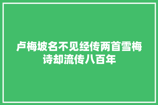 卢梅坡名不见经传两首雪梅诗却流传八百年