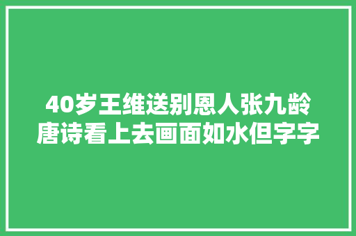 40岁王维送别恩人张九龄唐诗看上去画面如水但字字透着不宁愿