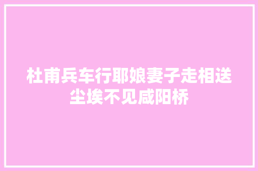 杜甫兵车行耶娘妻子走相送尘埃不见咸阳桥
