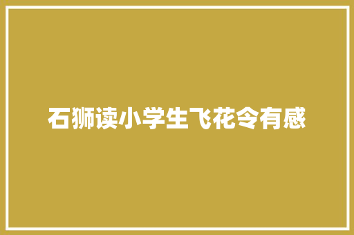 石狮读小学生飞花令有感