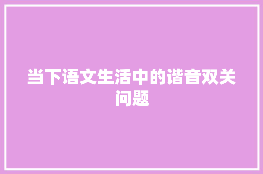 当下语文生活中的谐音双关问题