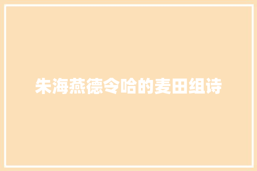 朱海燕德令哈的麦田组诗
