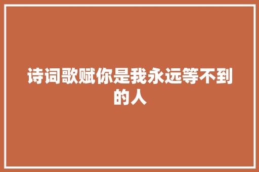 诗词歌赋你是我永远等不到的人