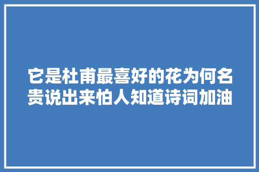 它是杜甫最喜好的花为何名贵说出来怕人知道诗词加油站58