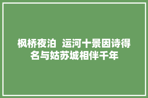 枫桥夜泊  运河十景因诗得名与姑苏城相伴千年