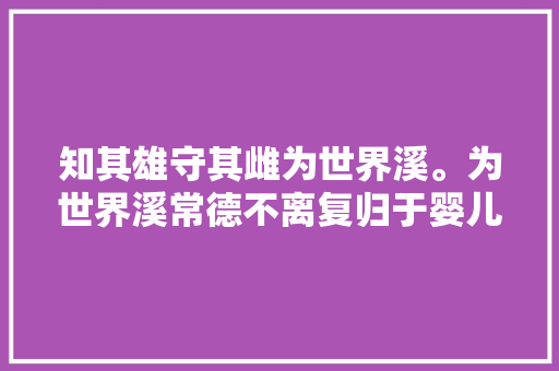 知其雄守其雌为世界溪。为世界溪常德不离复归于婴儿