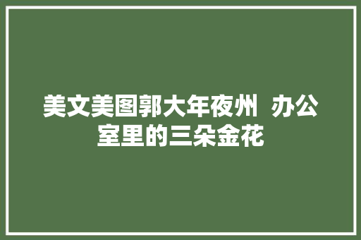 美文美图郭大年夜州  办公室里的三朵金花