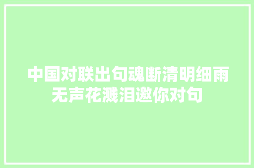 中国对联出句魂断清明细雨无声花溅泪邀你对句