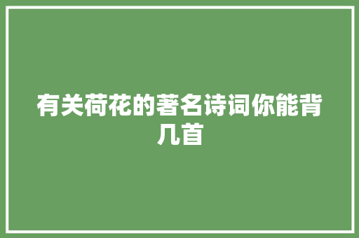 有关荷花的著名诗词你能背几首