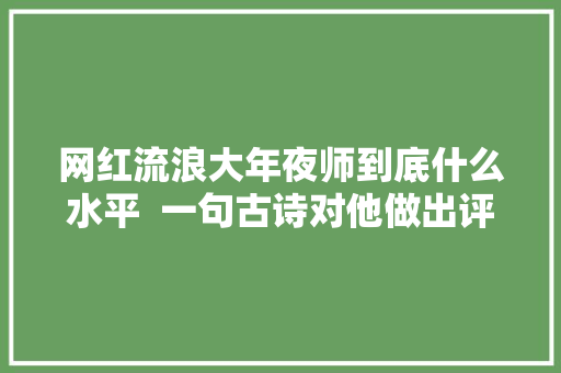 网红流浪大年夜师到底什么水平  一句古诗对他做出评价