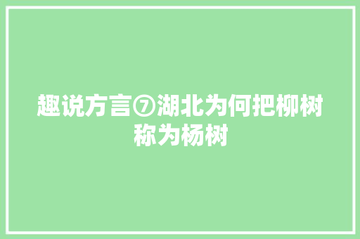 趣说方言⑦湖北为何把柳树称为杨树