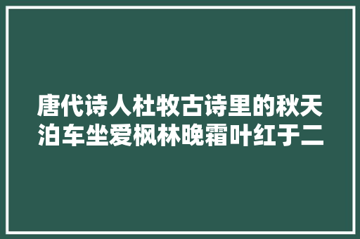 唐代诗人杜牧古诗里的秋天泊车坐爱枫林晚霜叶红于二月花
