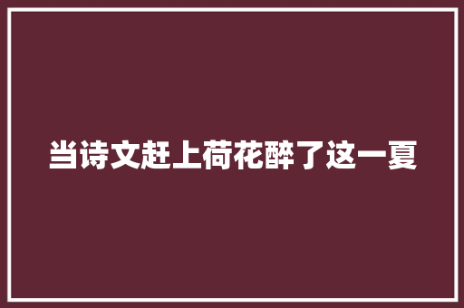 当诗文赶上荷花醉了这一夏