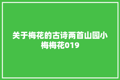 关于梅花的古诗两首山园小梅梅花019