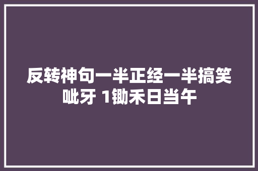 反转神句一半正经一半搞笑呲牙 1锄禾日当午