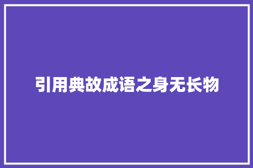 引用典故成语之身无长物