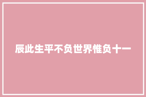 辰此生平不负世界惟负十一
