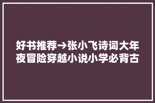 好书推荐→张小飞诗词大年夜冒险穿越小说小学必背古诗完美结合