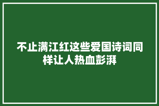 不止满江红这些爱国诗词同样让人热血彭湃