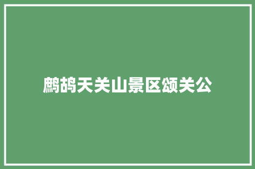 鹧鸪天关山景区颂关公