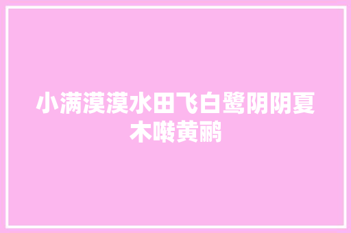 小满漠漠水田飞白鹭阴阴夏木啭黄鹂