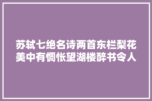 苏轼七绝名诗两首东栏梨花美中有惆怅望湖楼醉书令人神清气爽