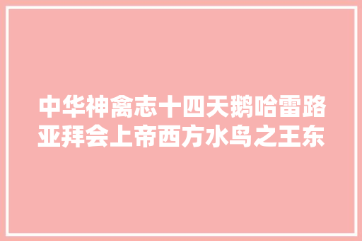 中华神禽志十四天鹅哈雷路亚拜会上帝西方水鸟之王东方委屈小媳妇依靠它满人改变了中国历史