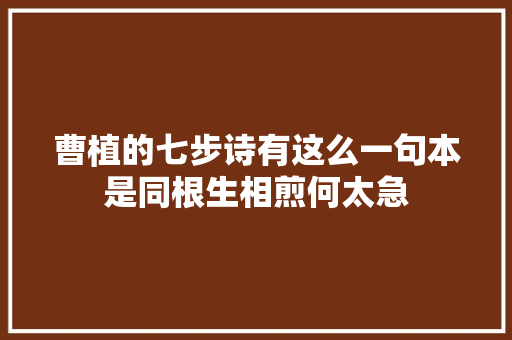 曹植的七步诗有这么一句本是同根生相煎何太急