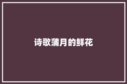 诗歌蒲月的鲜花