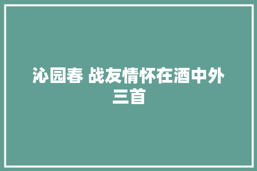 沁园春 战友情怀在酒中外三首