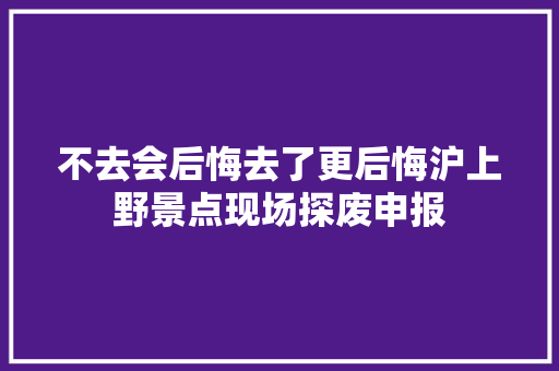 不去会后悔去了更后悔沪上野景点现场探废申报