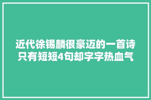 近代徐锡麟很豪迈的一首诗只有短短4句却字字热血气势实足