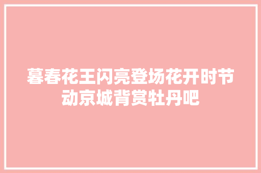 暮春花王闪亮登场花开时节动京城背赏牡丹吧