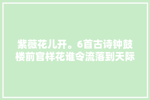 紫薇花儿开。6首古诗钟鼓楼前官样花谁令流落到天际