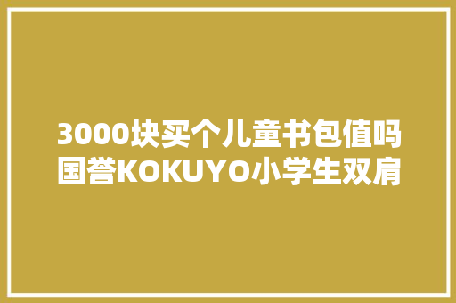 3000块买个儿童书包值吗国誉KOKUYO小学生双肩包简评