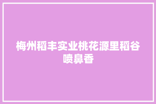 梅州稻丰实业桃花源里稻谷喷鼻香