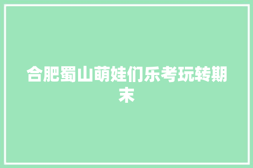合肥蜀山萌娃们乐考玩转期末