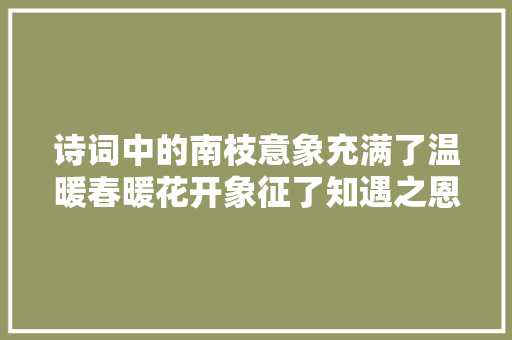 诗词中的南枝意象充满了温暖春暖花开象征了知遇之恩