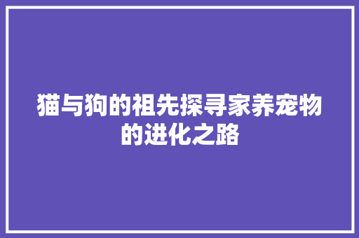 猫与狗的祖先探寻家养宠物的进化之路