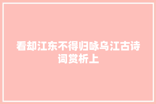 看却江东不得归咏乌江古诗词赏析上