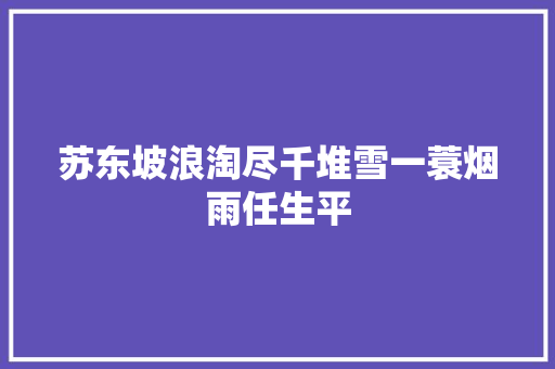 苏东坡浪淘尽千堆雪一蓑烟雨任生平