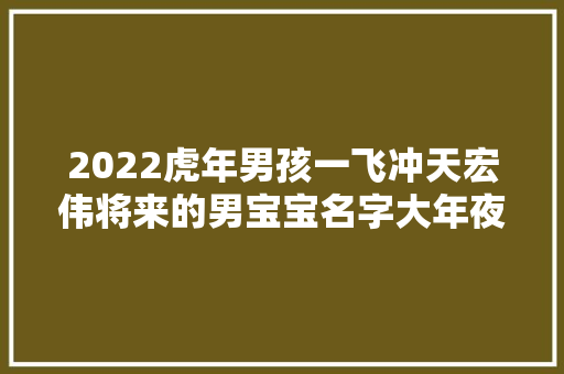 2022虎年男孩一飞冲天宏伟将来的男宝宝名字大年夜全