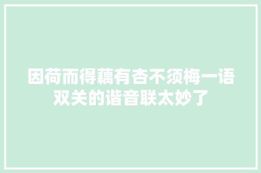 因荷而得藕有杏不须梅一语双关的谐音联太妙了
