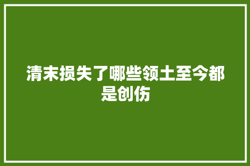 清末损失了哪些领土至今都是创伤