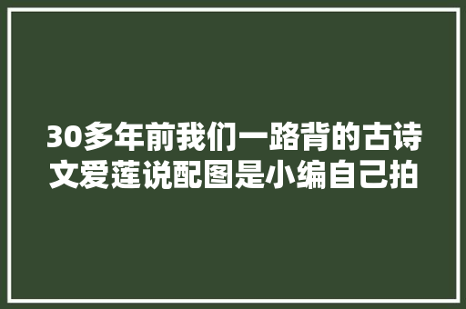 30多年前我们一路背的古诗文爱莲说配图是小编自己拍的哦