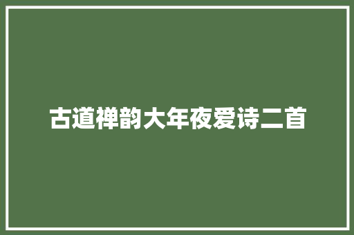 古道禅韵大年夜爱诗二首
