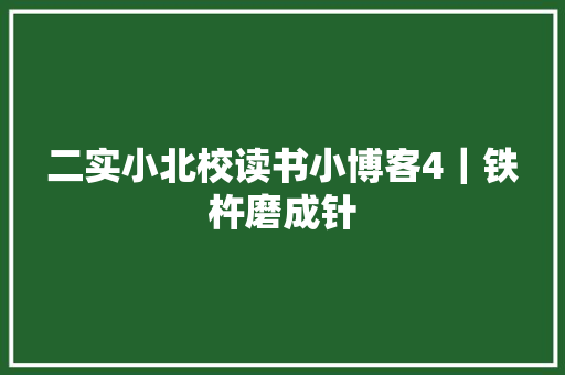 二实小北校读书小博客4｜铁杵磨成针