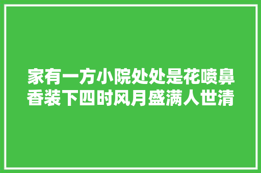 家有一方小院处处是花喷鼻香装下四时风月盛满人世清欢