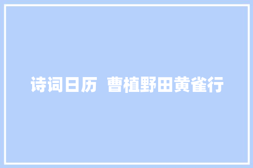 诗词日历  曹植野田黄雀行